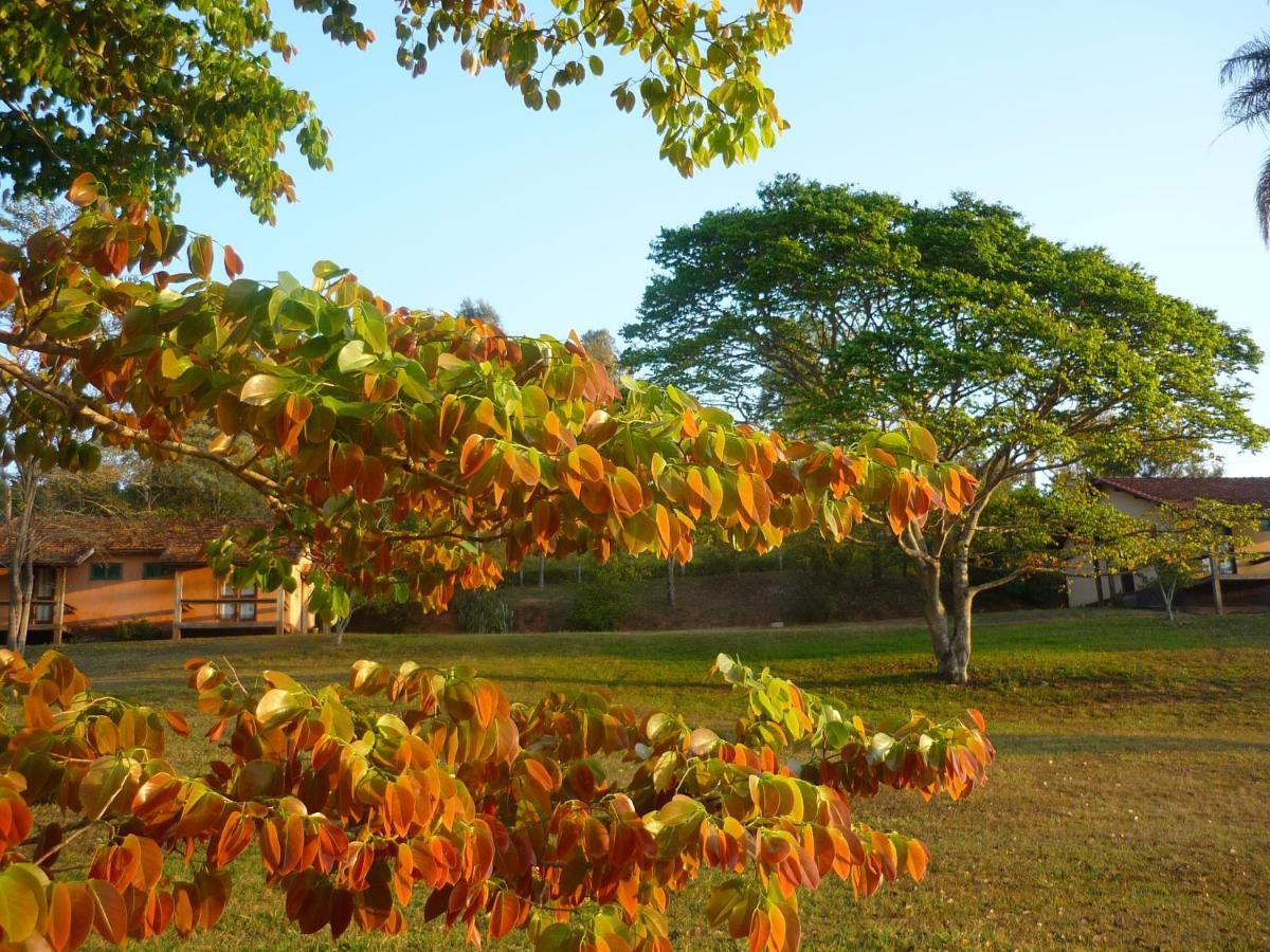 Porto Fazenda Hotel Alfenas Zewnętrze zdjęcie